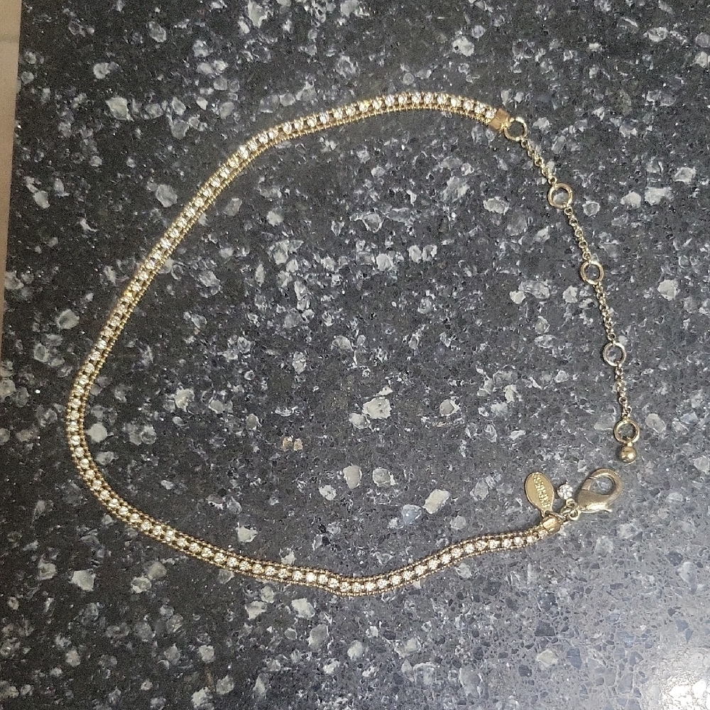 Express Choker Necklace